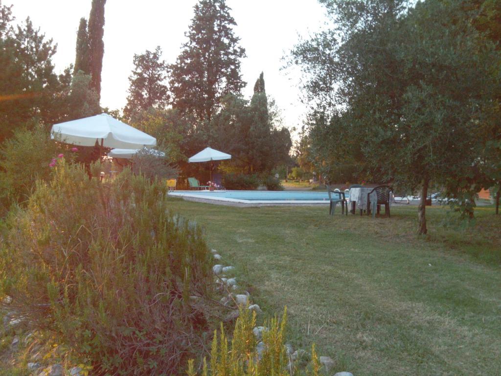 Agriturismo La Torre Di Monsindoli Сиена Экстерьер фото