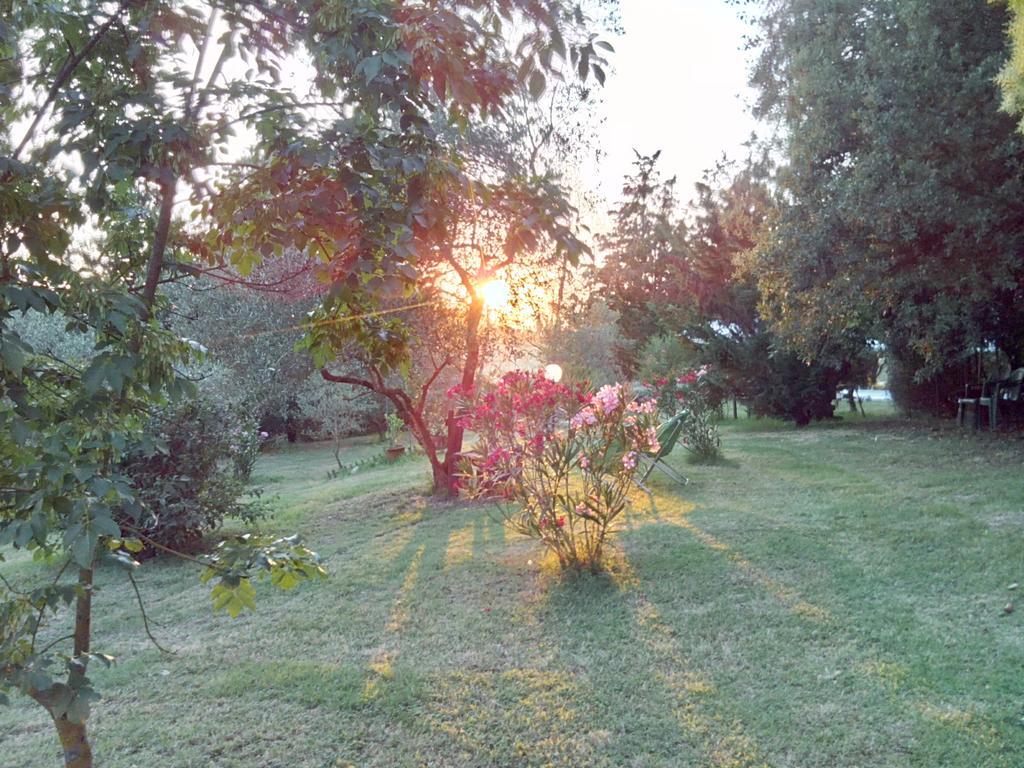 Agriturismo La Torre Di Monsindoli Сиена Экстерьер фото