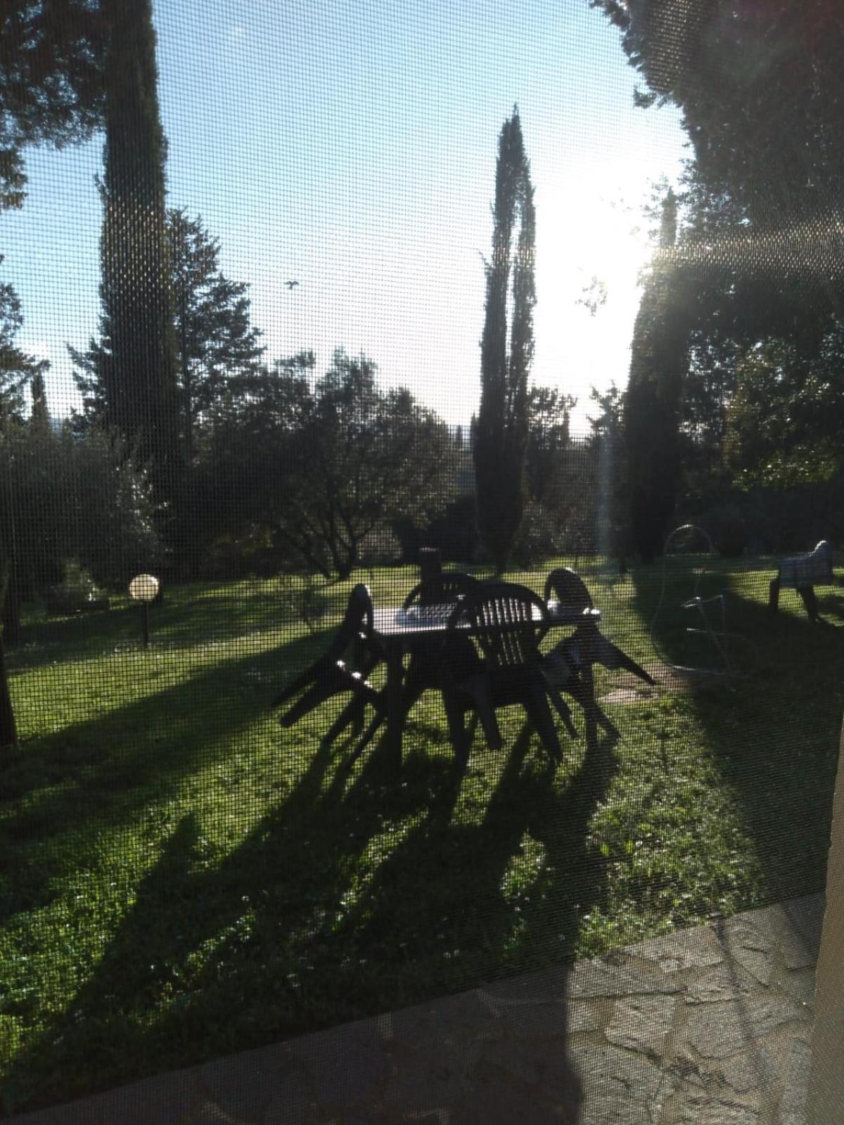 Agriturismo La Torre Di Monsindoli Сиена Экстерьер фото