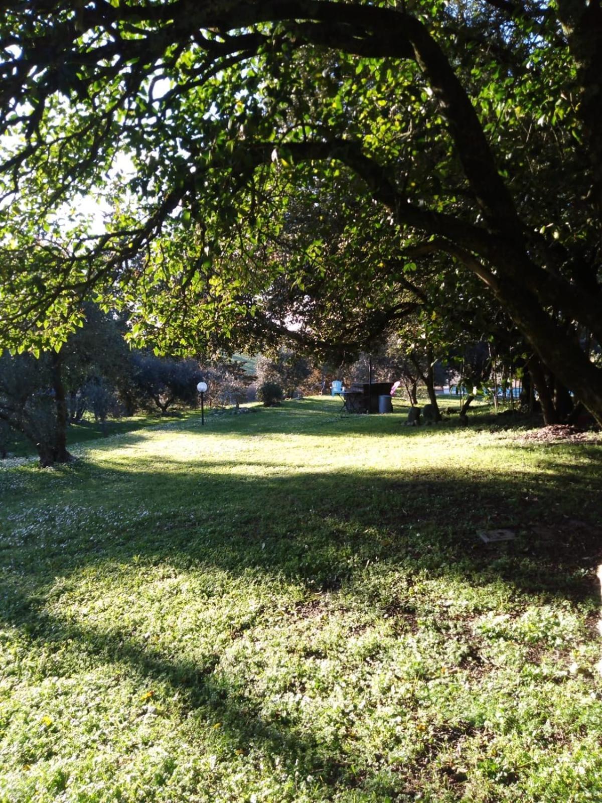 Agriturismo La Torre Di Monsindoli Сиена Экстерьер фото