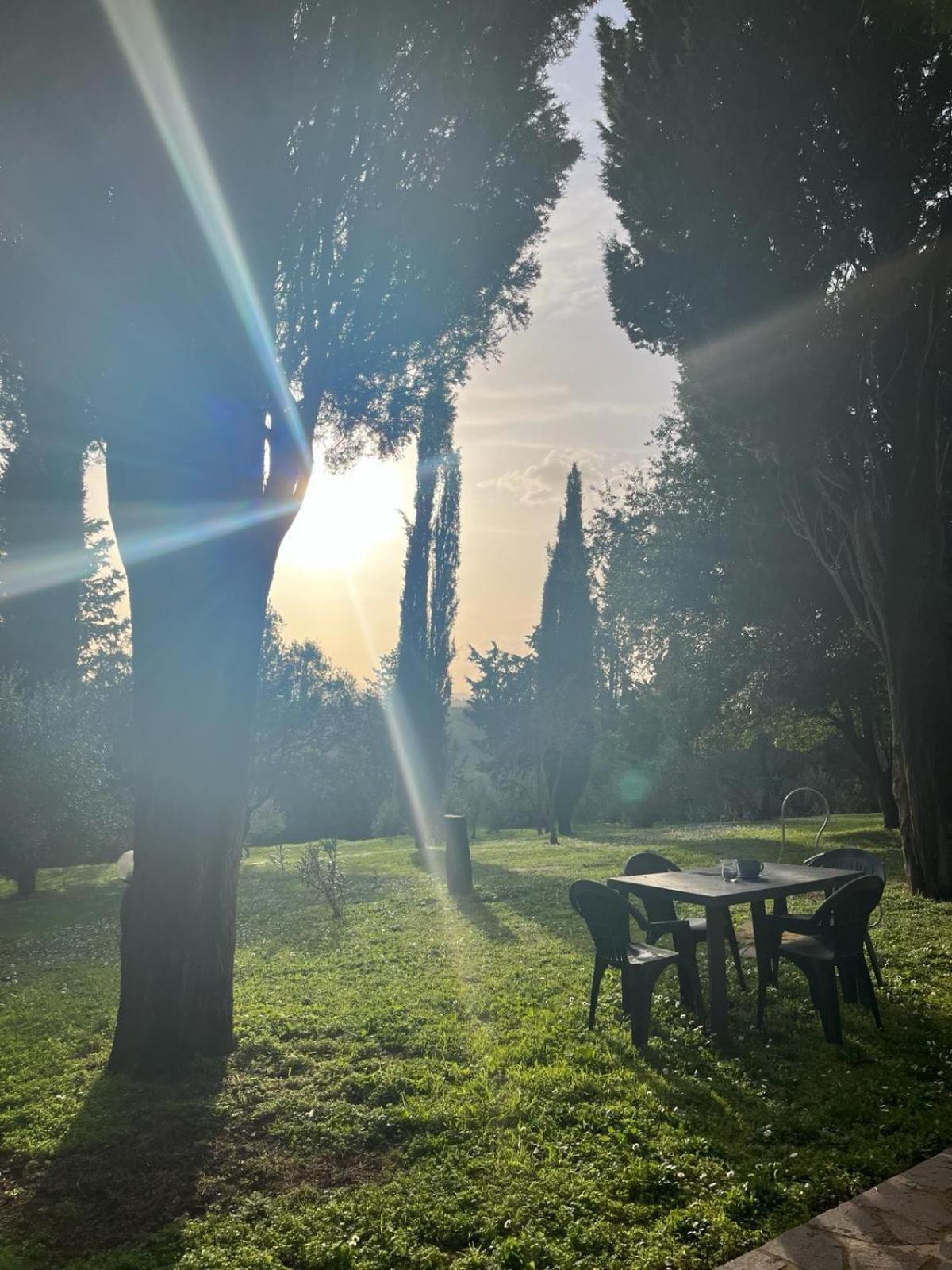 Agriturismo La Torre Di Monsindoli Сиена Экстерьер фото