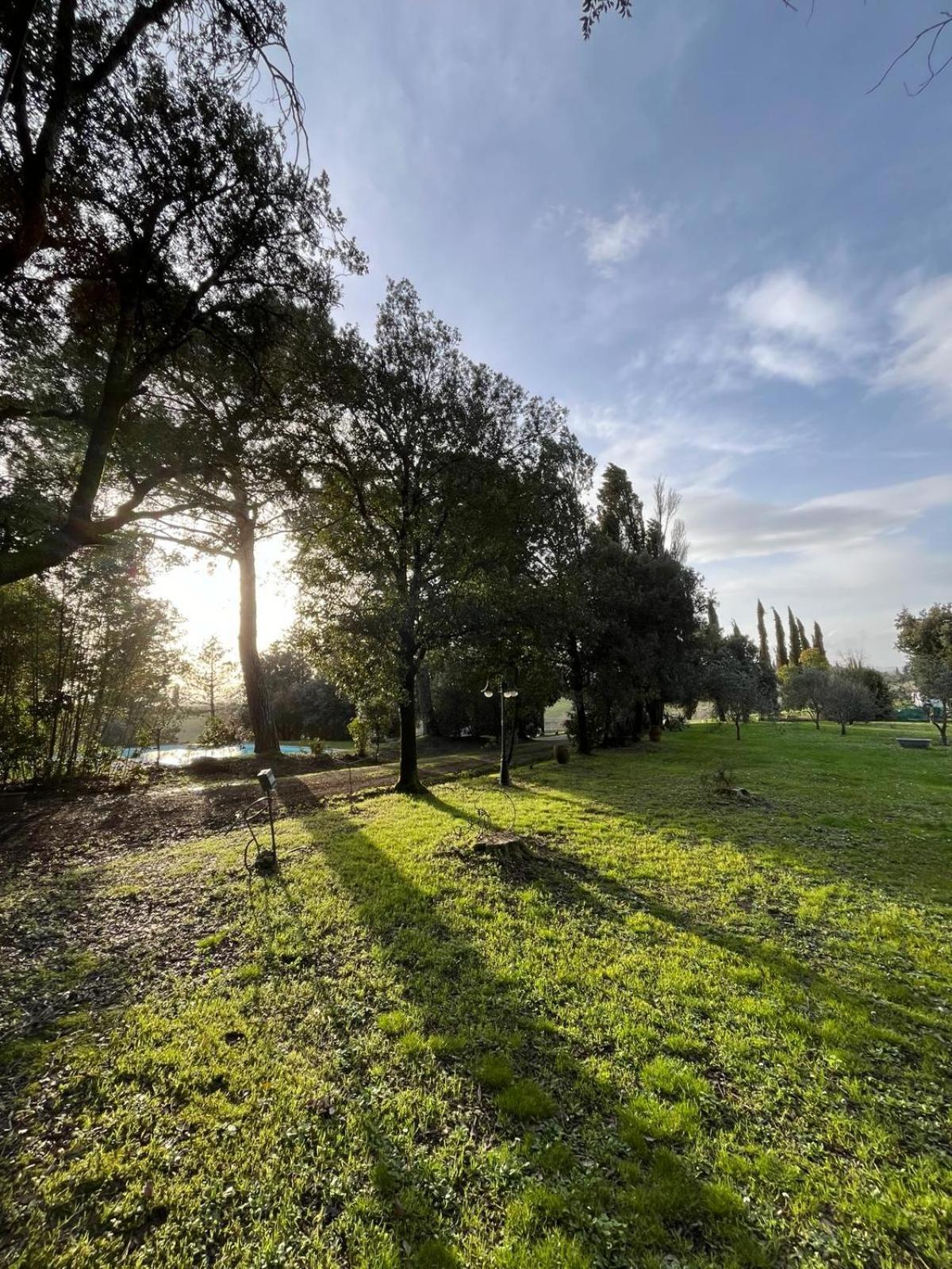 Agriturismo La Torre Di Monsindoli Сиена Экстерьер фото